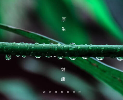 易得悠品（宜本真）